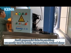 Mesin Es Serpihan Air Tawar Komersial Pabrik Es Serpihan Pembuat Es Serpihan Kecil Untuk Penggunaan Hotel