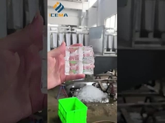 Mesin es pellet industri berkualitas tinggi yang mulai beroperasi