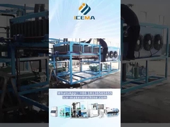 ICEMA Block Ice Machine dalam Ice Out
