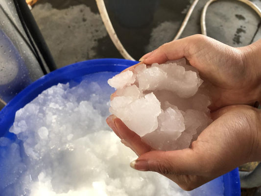 Mesin Pembuat Es Bubur 3T / 24H Untuk Makanan Laut