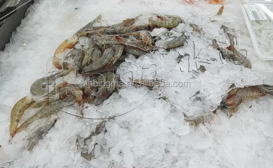 1 Ton Mesin Es Serpihan Air Tawar Komersial 380V 220V