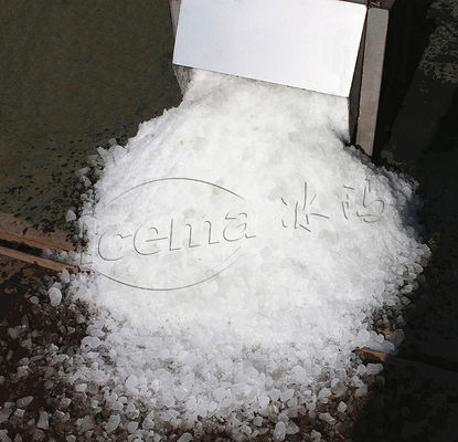Rumah Tangga Juicer Ice Crusher Commercial Hotel Outdoor