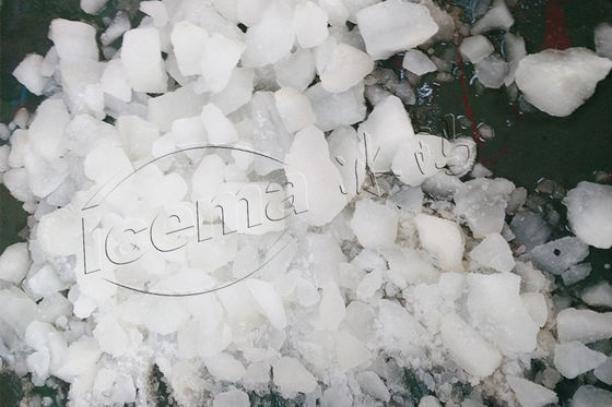 Rumah Tangga Juicer Ice Crusher Commercial Hotel Outdoor