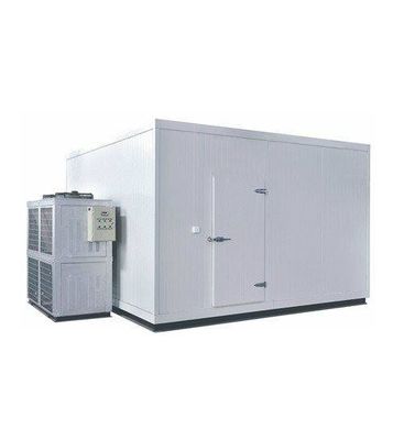 Harga yang pantas Ruang Freezer Ruang Dingin Ikan berjalan di ruang chiller on line