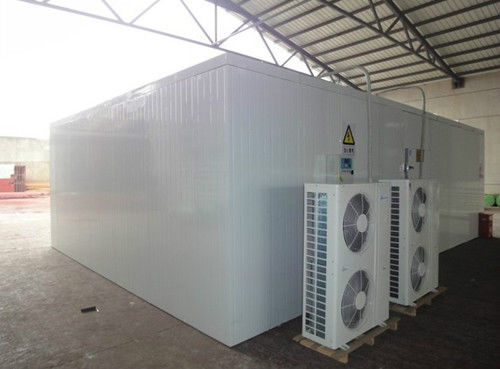 Ruang Freezer Ruang Dingin Ikan berjalan di ruang chiller