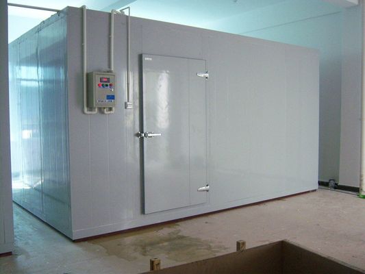 Ruang Freezer Ruang Dingin Ikan berjalan di ruang chiller