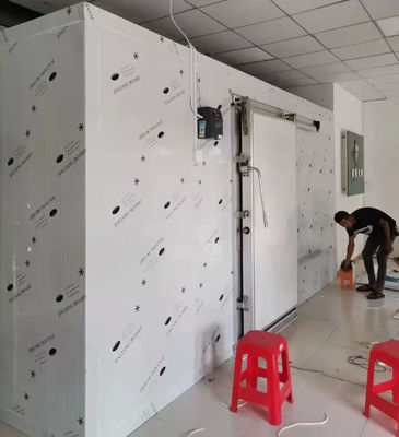 Komersial Harga ruang dingin 20ft kontainer berjalan di freezer penyimpanan dingin untuk menyimpan buah segar / sayuran / ikan / transportasi