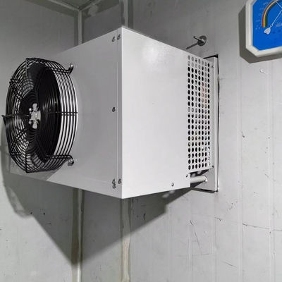Harga yang pantas Unit Kondensasi Evaporatif Freezer Ruang Dingin Industri on line