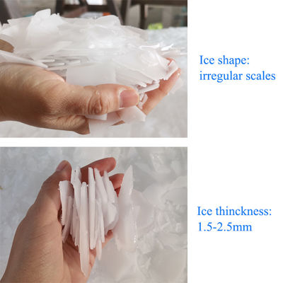 10T/24H Air Laut Flake Ice Machine Ice Maker Industri Komersial Dipasang di Kapal