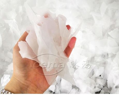 China 50 ton/hari kontainer mesin es serpihan salju untuk pendinginan dengan harga pabrik