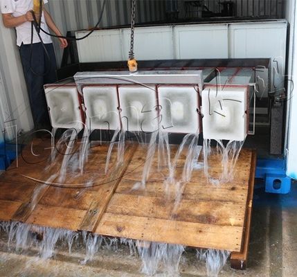 Emerson 3 Ton Direct Cooling ICEMA Containerized Block Ice Plant (Pembangkit Es Blok Kontainer)