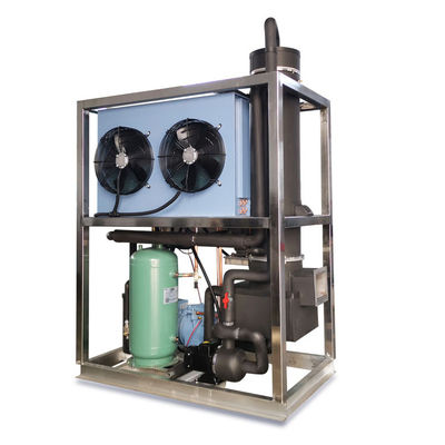 Harga yang pantas Sertifikat CE 1TON 2TON 5TON 10TON Tube Ice Maker untuk kebutuhan mesin es khusus on line