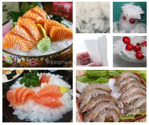 Produksi Tinggi 10T/24H Mesin pembuatan es industri untuk memancing seafood
